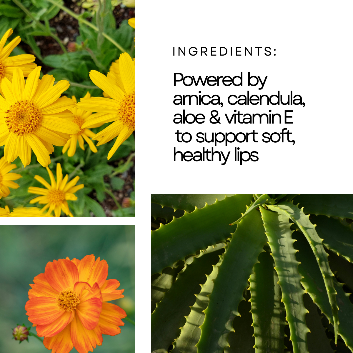 BOWLER Lip Gloss - Renewal Treatment